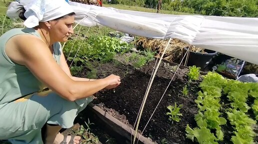 Будни матушки в деревне. Про огородные дела и сад после морозов. Отвечаю на вопросы❓