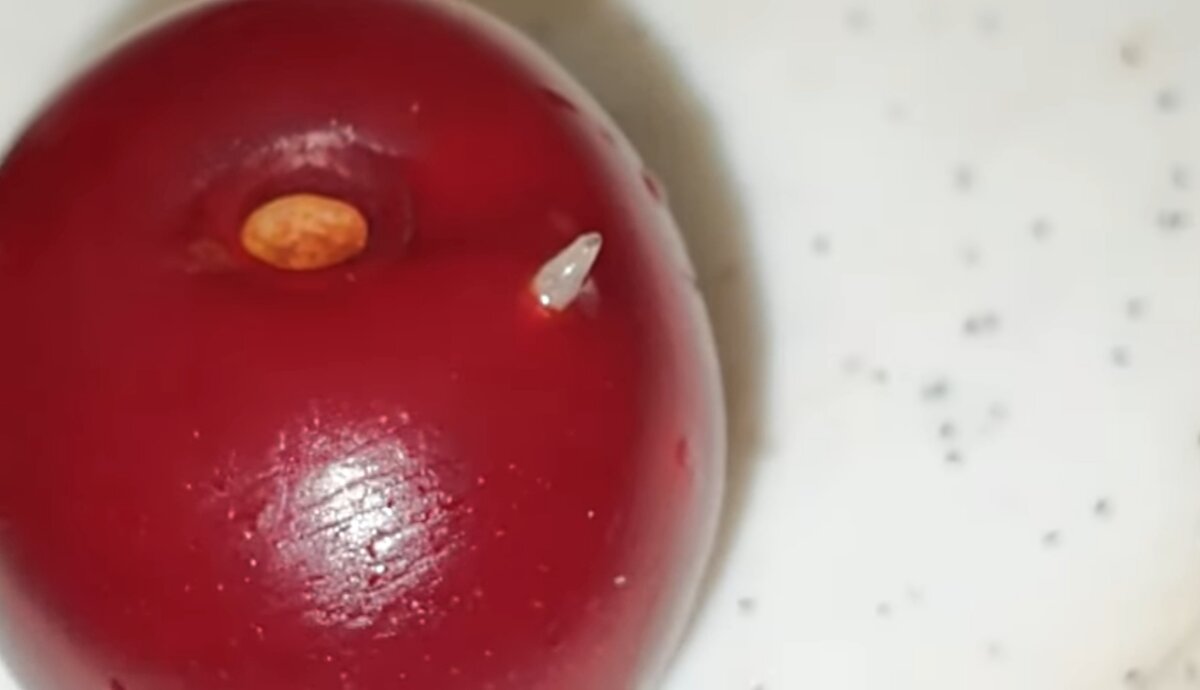 Червь вылазит из вишни