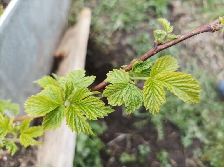    Первый женский / Анна Полякова Анна Полякова