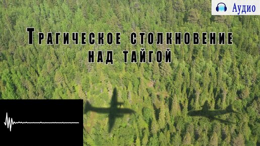 Трагическое столкновение над тайгой: Невероятная история выживания после 5 км падения