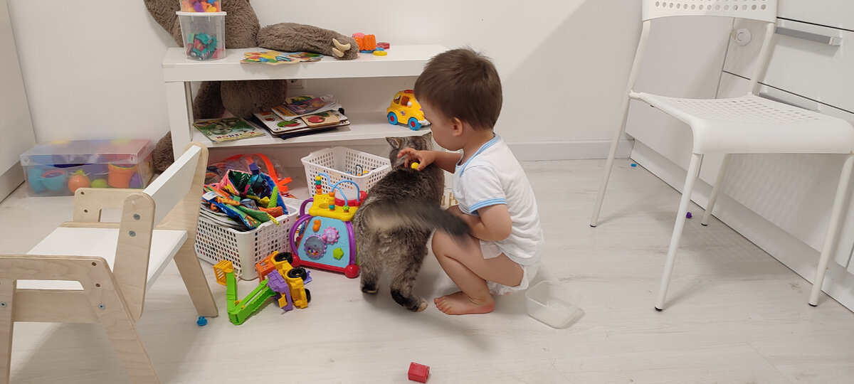 Никита играет с кошкой