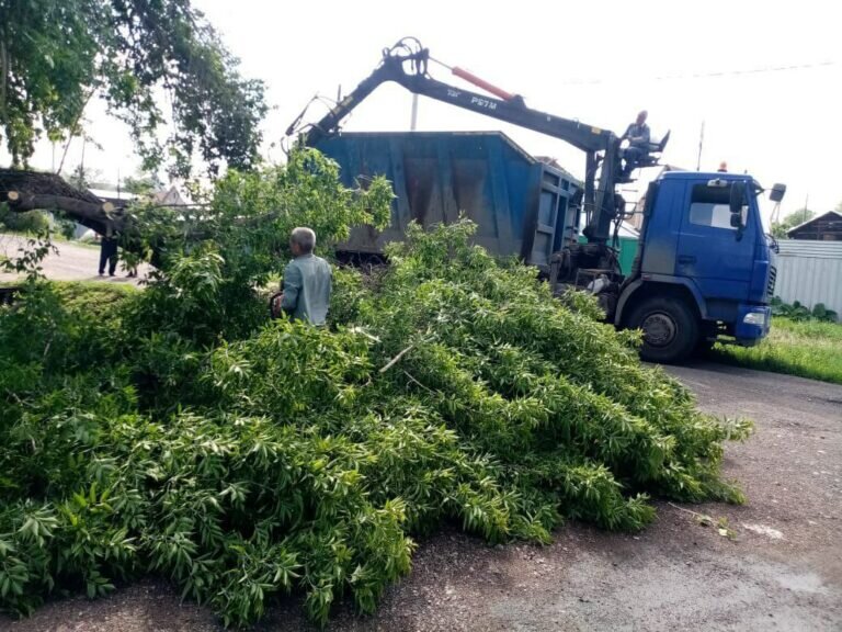    Сломанные и поваленные деревья. В Оренбурге устраняют последствия стихии Марина Шарт