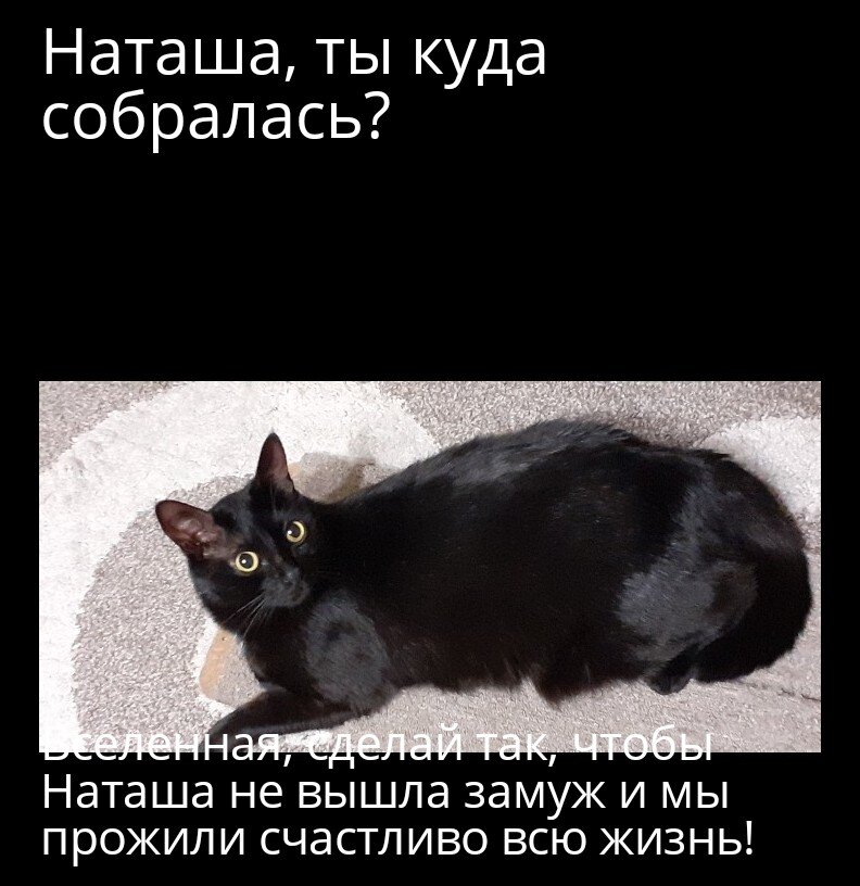 Вселенная, сделай так, чтобы Наташа не вышла замуж и мы прожили счастливо всю жизнь!