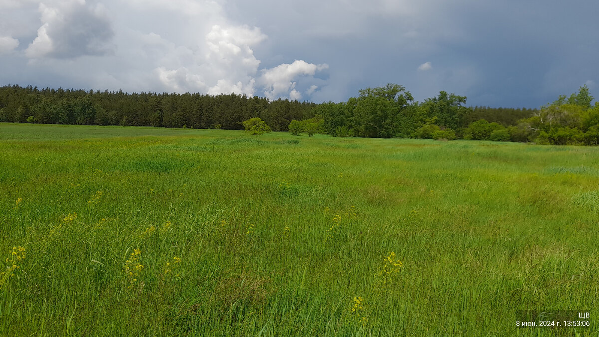 Перед полем сенокос. Из далека красивый