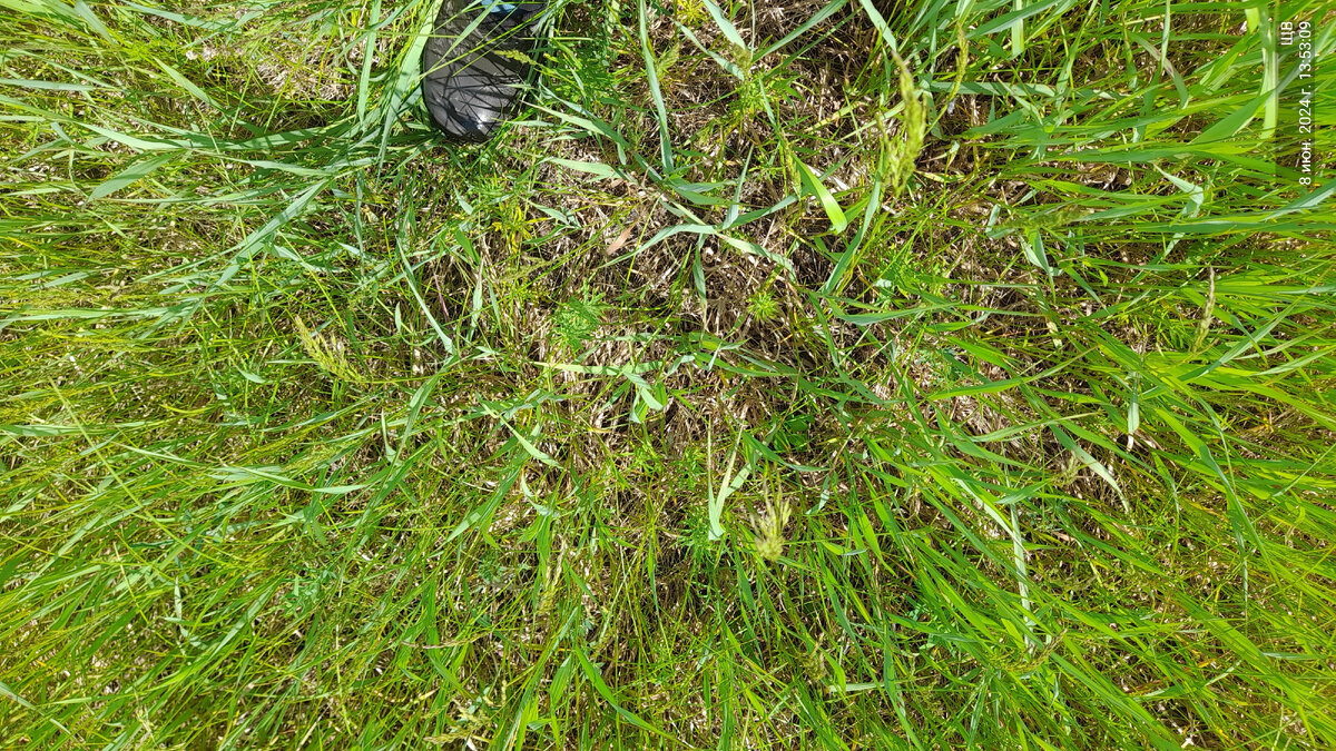 а вблизи и не сильно