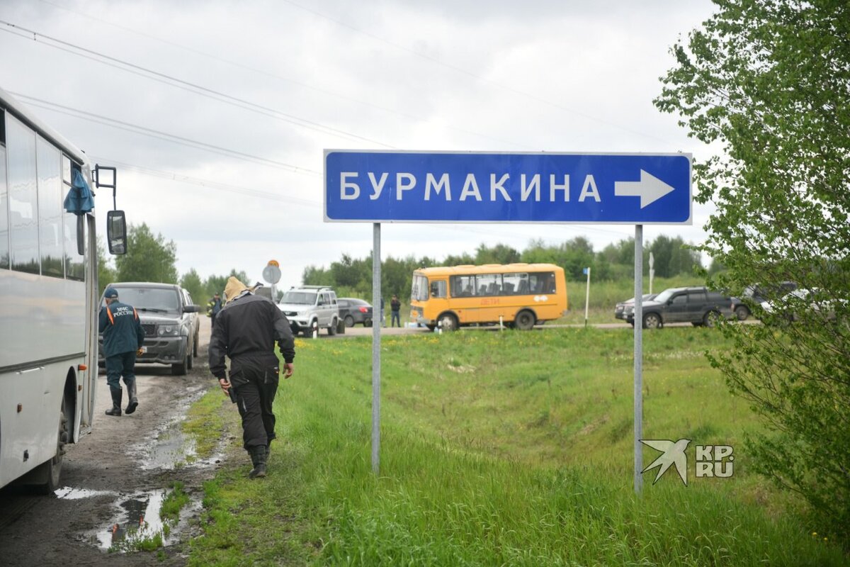 Ели яйца, пили воду из болот: полная хронология поисков детей в лесу под  Тюменью | Комсомольская правда | Екатеринбург | Дзен