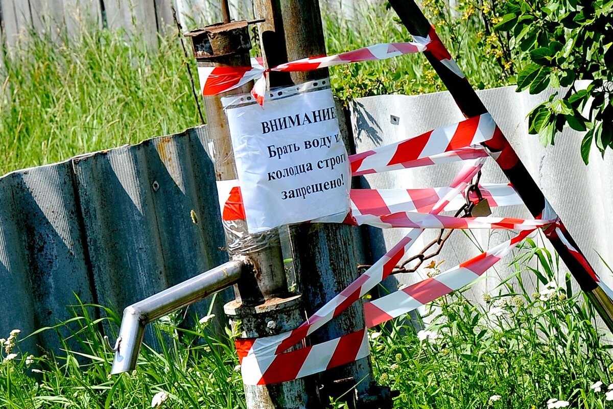 Фото: Михаил КИРЬЯНОВ  📷
