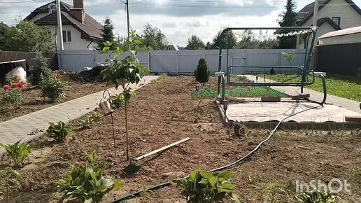 Купили дом в деревне. Приехали грядки . Посадила черри. Посеяли газон. Работа кипит .