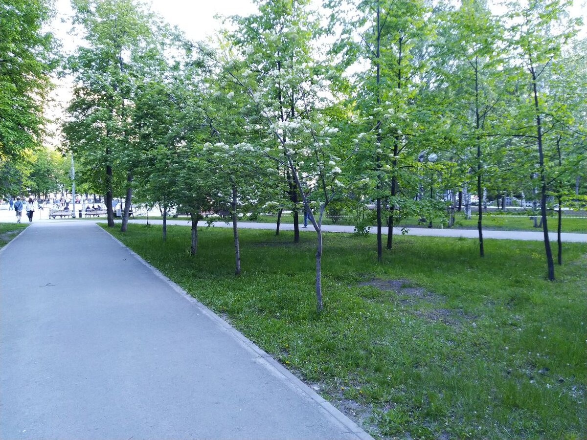 Еженедельный астропрогноз 17 – 23 июня 2024 года