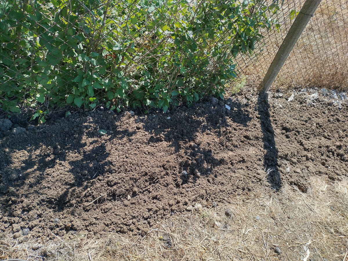 Тень пока ушла, но потом она вернется