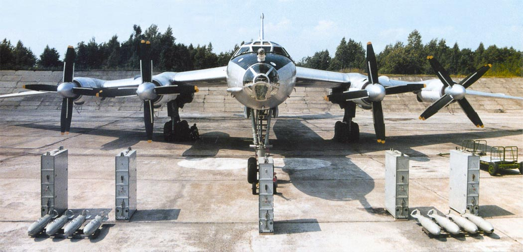 Ту-142 и его вооружение: кассеты с радиогидроакустическими буями и противолодочные бомбы ПЛАБ-250-120. Источник фото: https://airwar.ru/enc/sea/tu142.html