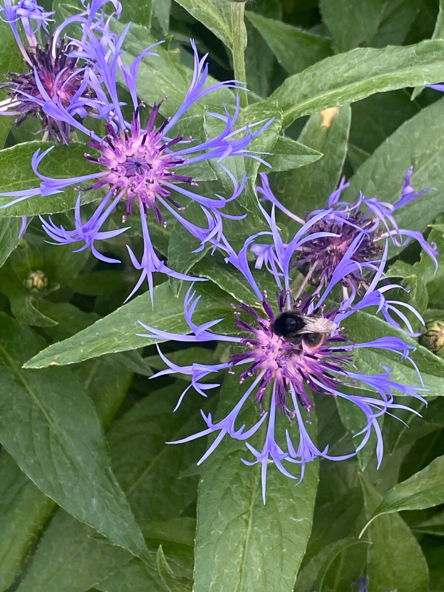 Все фото мои