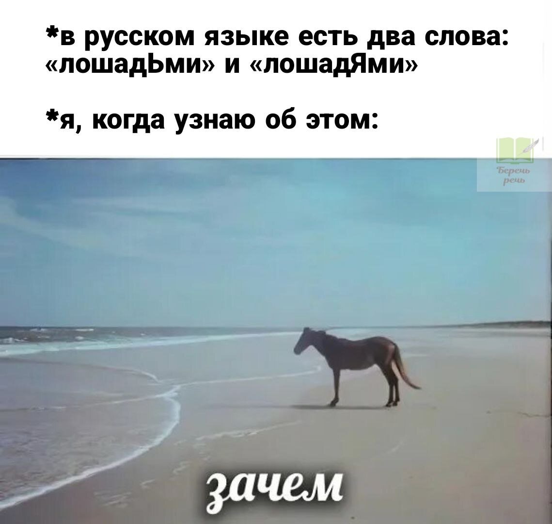 15 мемов о русском языке, которые можно читать вместо анекдотов. Весёлая  авторская подборка | Беречь речь | Дзен