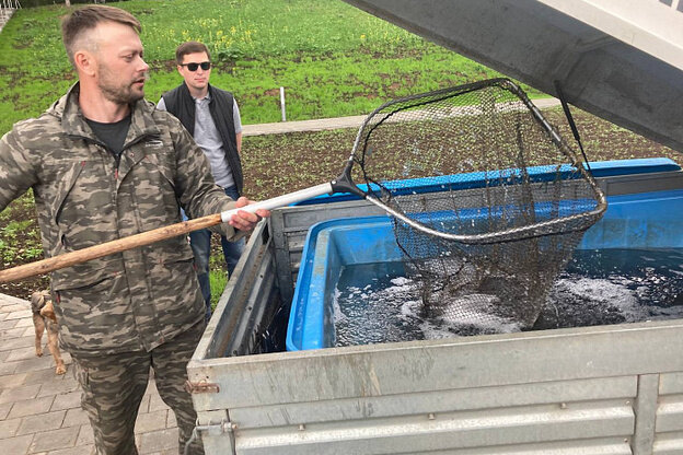    В пруды парка имени Кирова выпустили рыбу