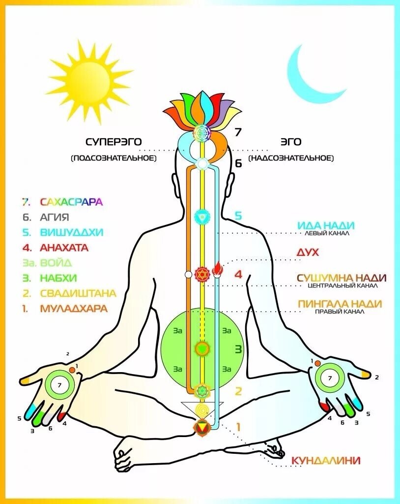 Плакат показывающий схематически строение энергетической системы человека.