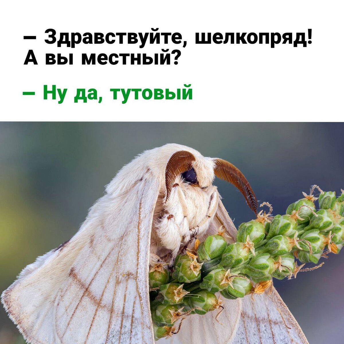 -12