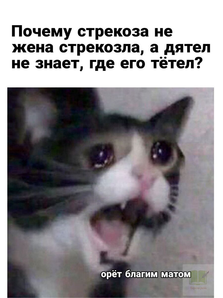 -15