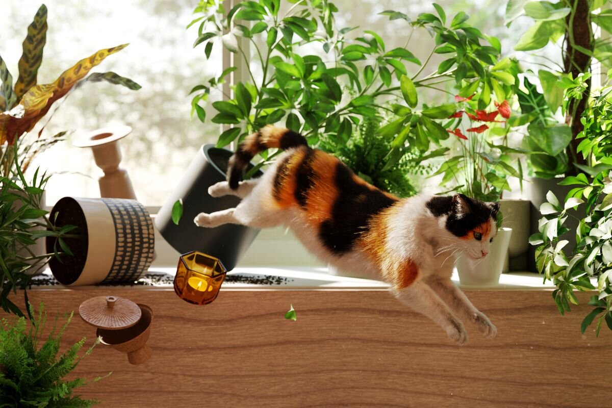 Почему кошка носится по квартире как сумасшедшая?