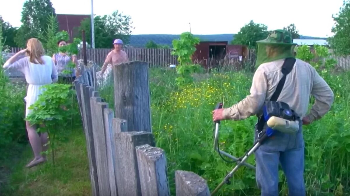 Типы соседей на даче, которые всех бесят. Есть у вас такие? | Миклухо  Макфлай исторический клуб | Дзен