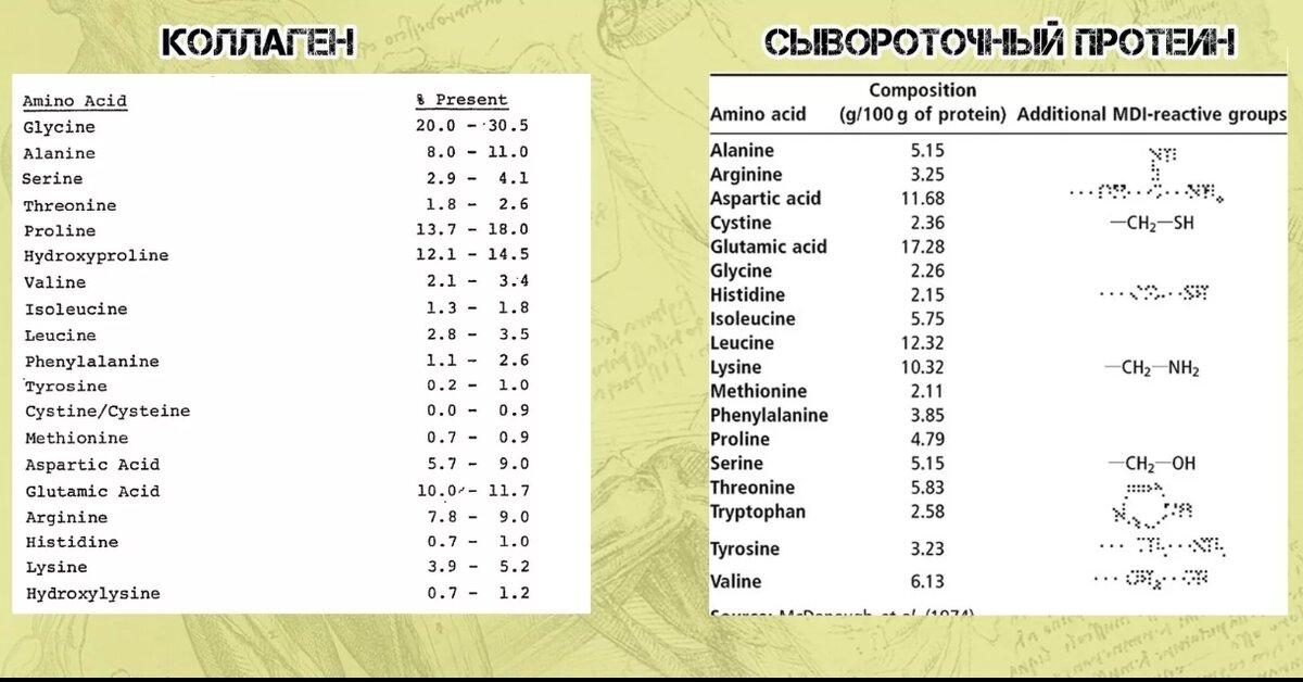 Больше всего в коллагене аминокислот: глицин, пролин, гидроксипролин - их организм может синтезировать сам при достаточном количестве белка.