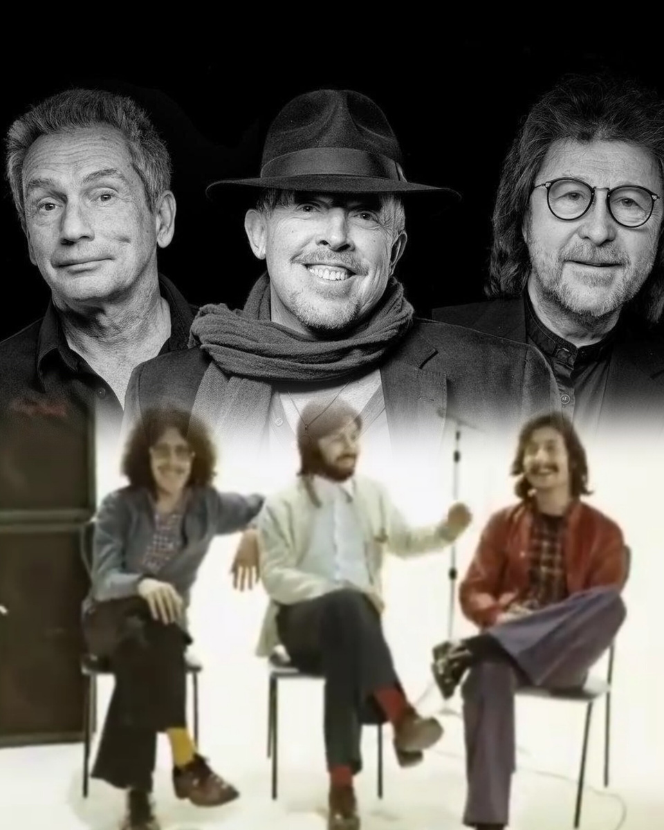 Коллаж автора из фото в свободном доступе 