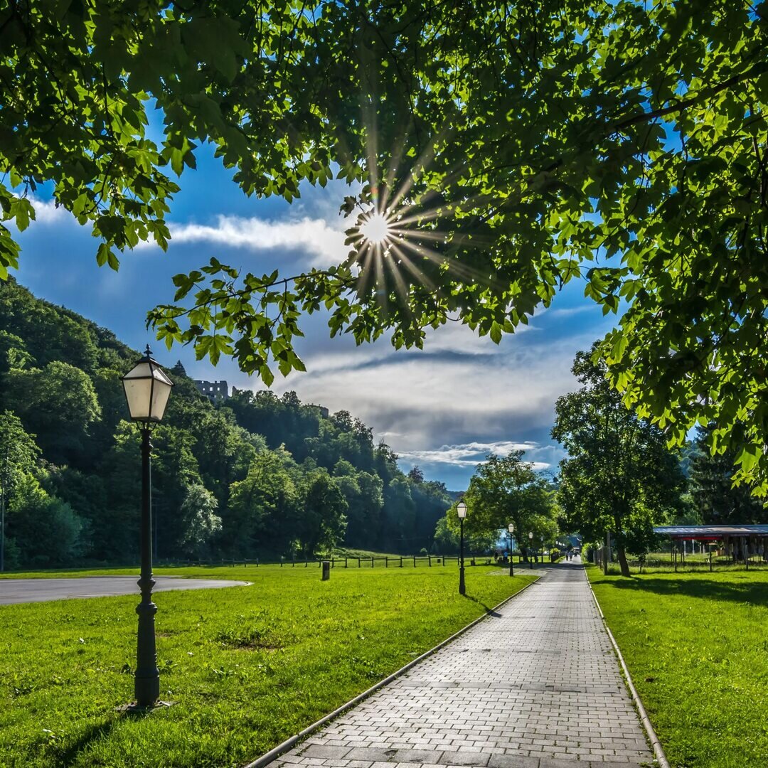 Фото из открытых источников сети Интернет