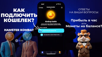Как правильно подключить кошелек в хомяке
