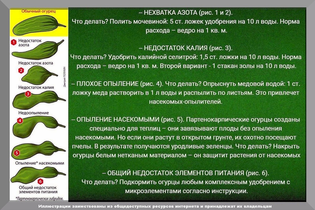 https://vk.com/photo-159774511_457265895