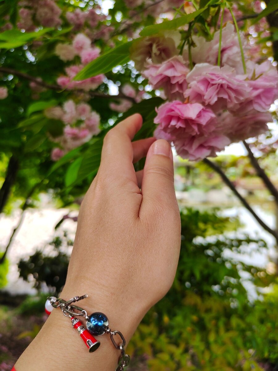 Сакура в Японском саду Мрии, Крым