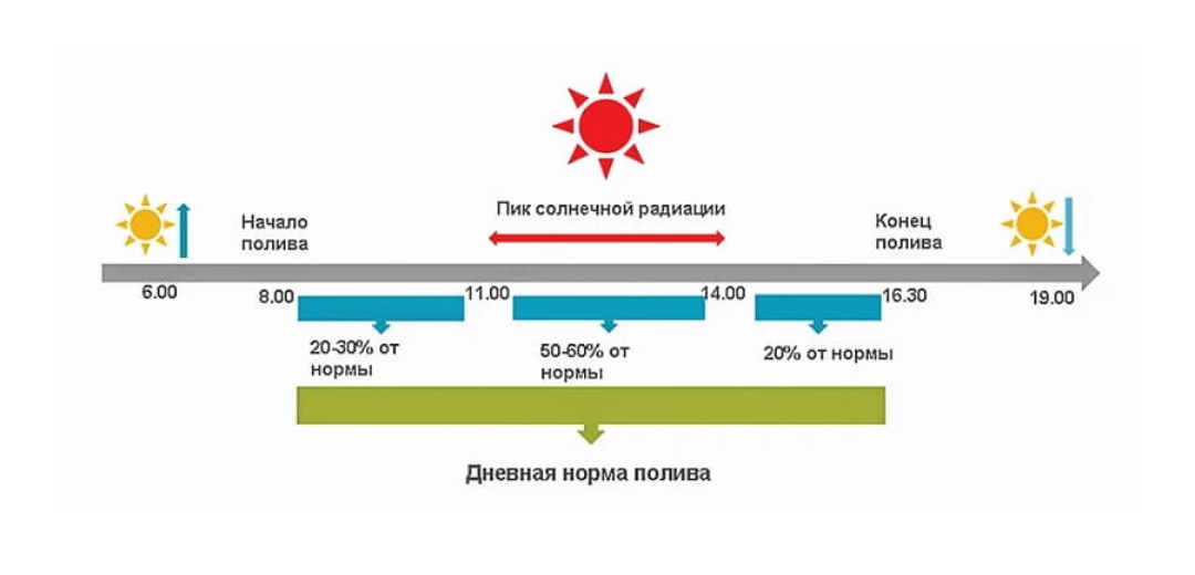 Скрин с сайта syngenta.by