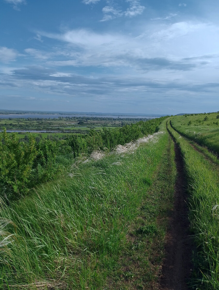 фото автора, дорога над камскими лугами