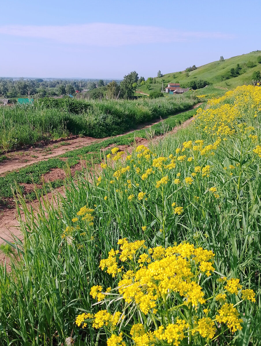 фото автора, окраина нашего села