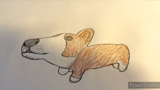 Рисую щенка корги