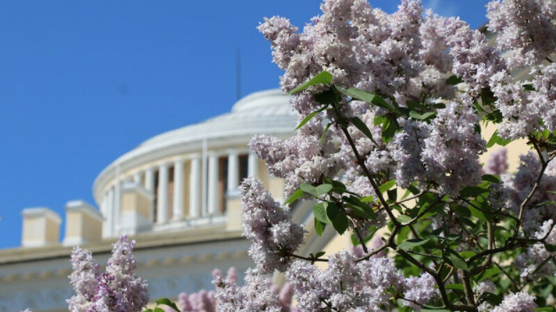    Фото: t.me/spbprav.