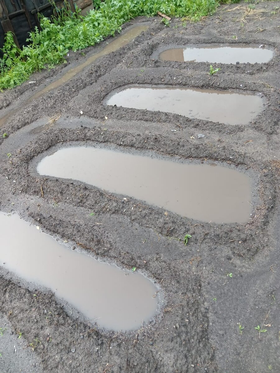 Тоже Староалейское. Ранее тут были первые робкие всходы культурных растений, а теперь вот, вода. 