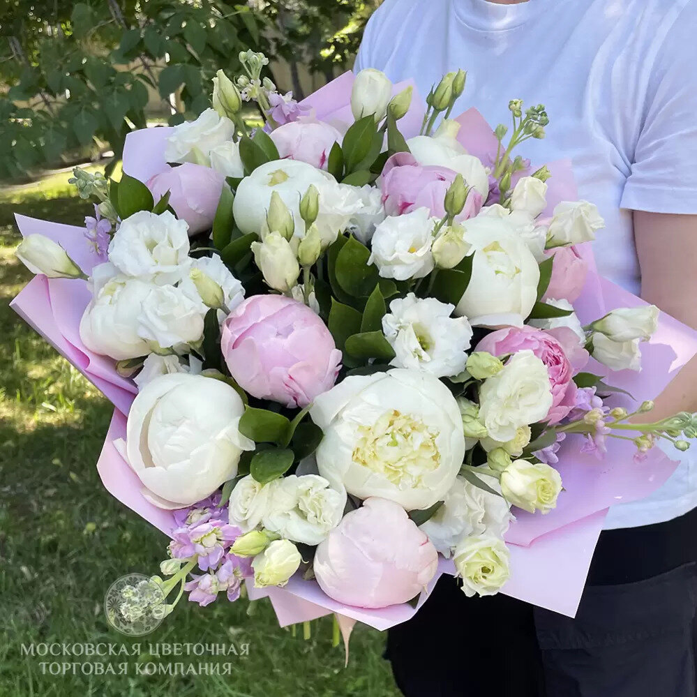 Любимые сорта пионов