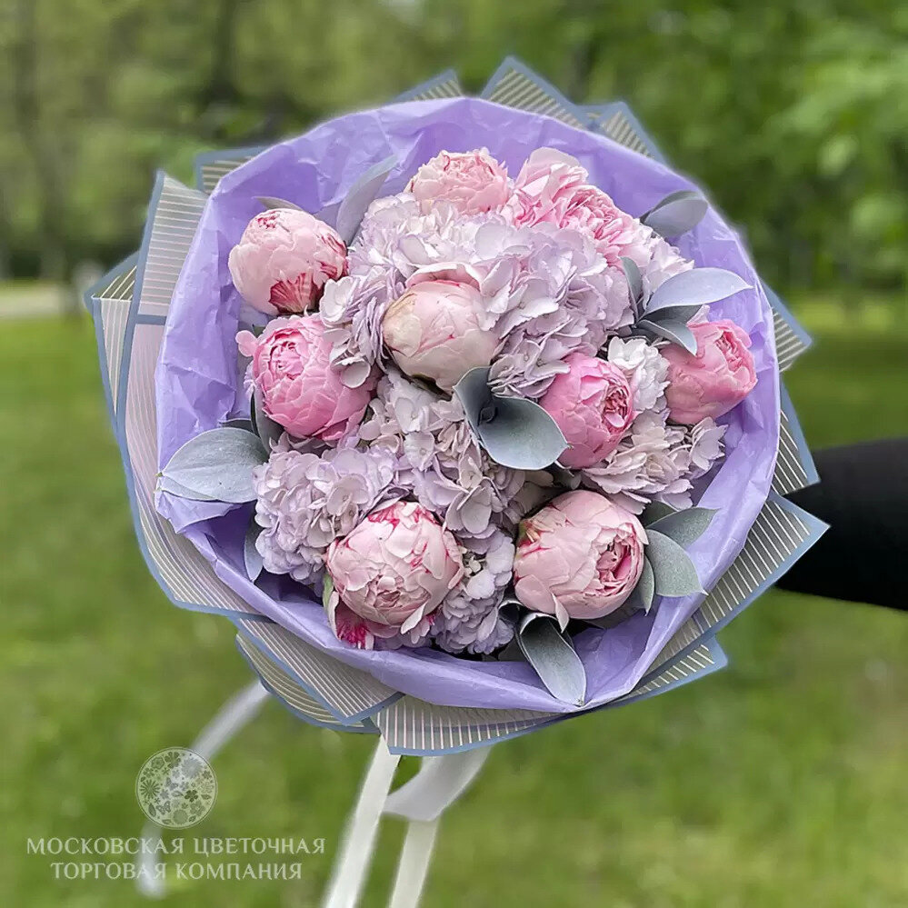 Пионы Сара Бернар  / Sarah Bernhardt