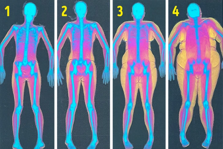 фото из интернета