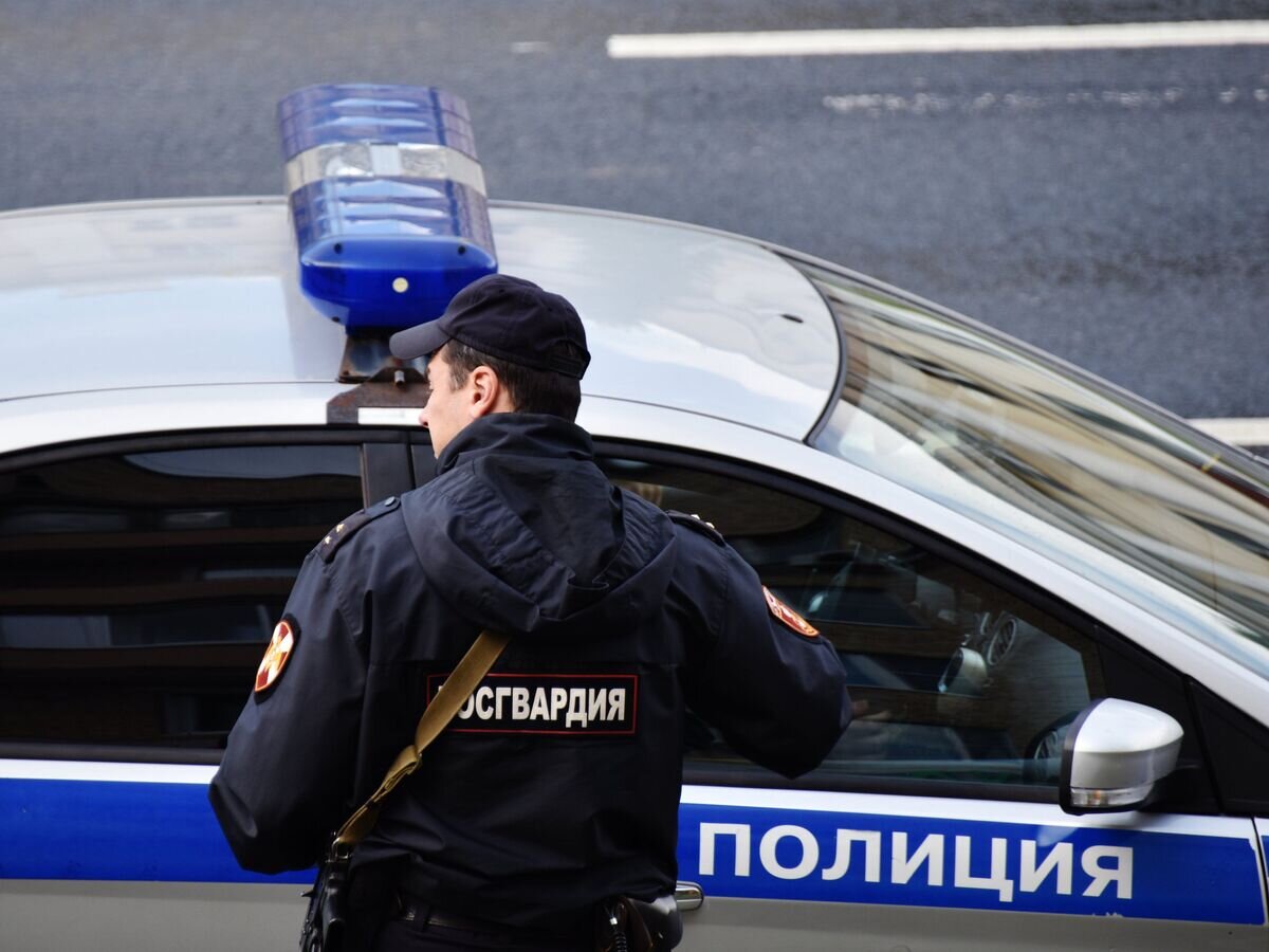    Автомобиль полиции© РИА Новости / Наталья Селиверстова