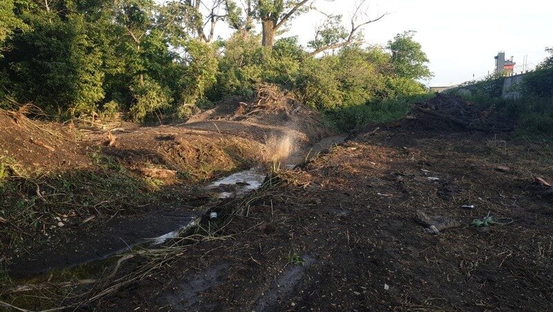      Фото: телеграм-канал Елены Кобзевой