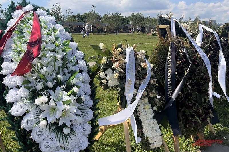    Фото:  АиФ/ Виолетта Бурлакова