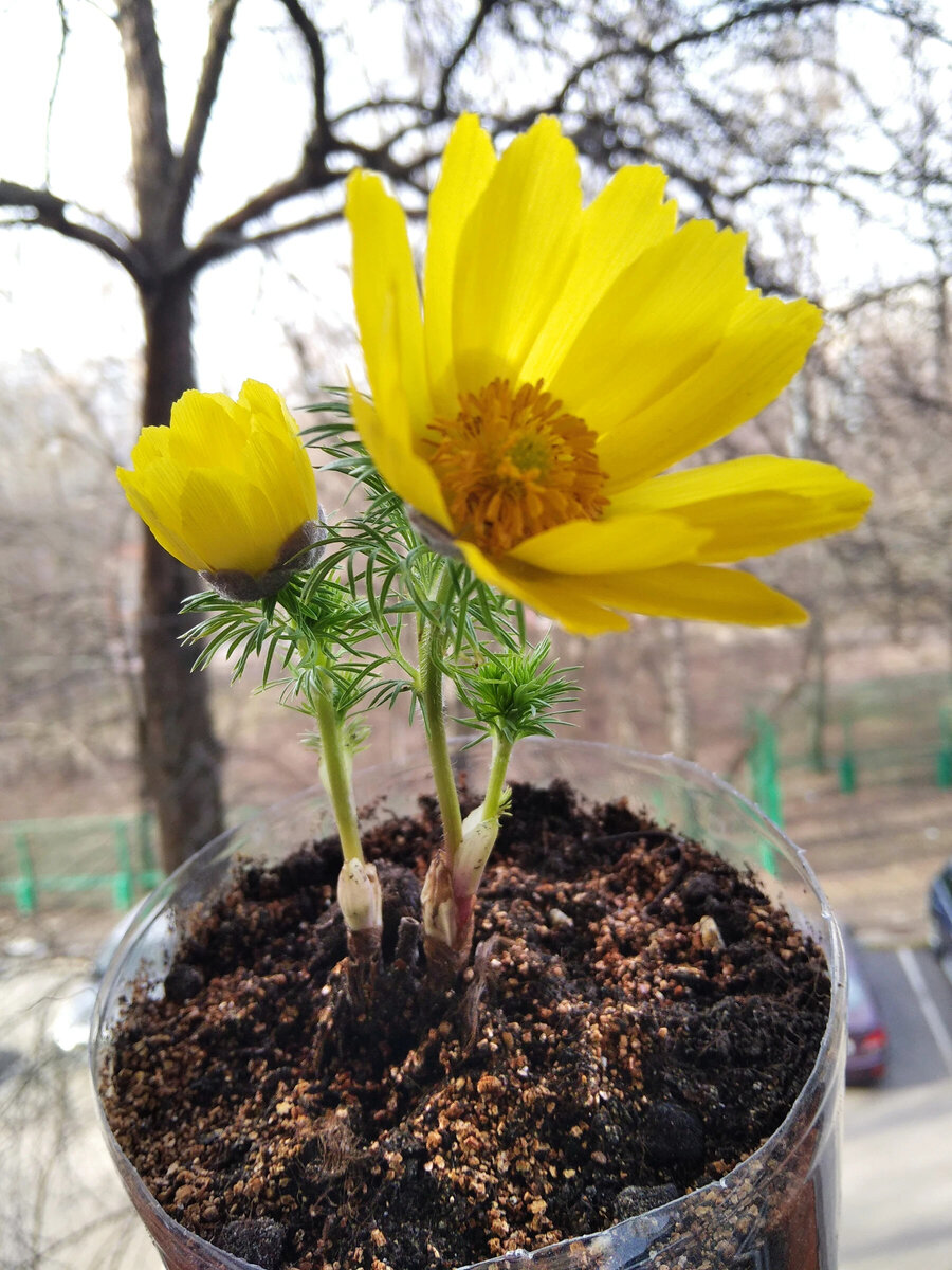 8 апреля 2023 года