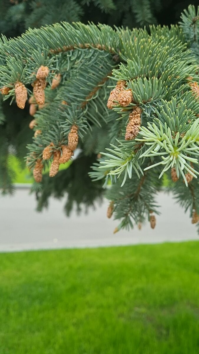 Было вчера много времени полюбоваться на природу 