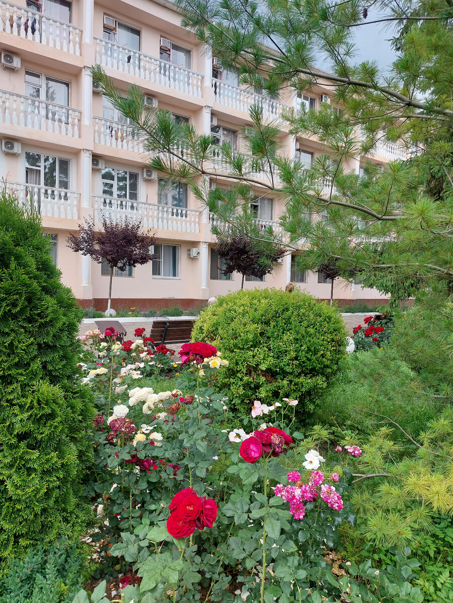 Фото автора