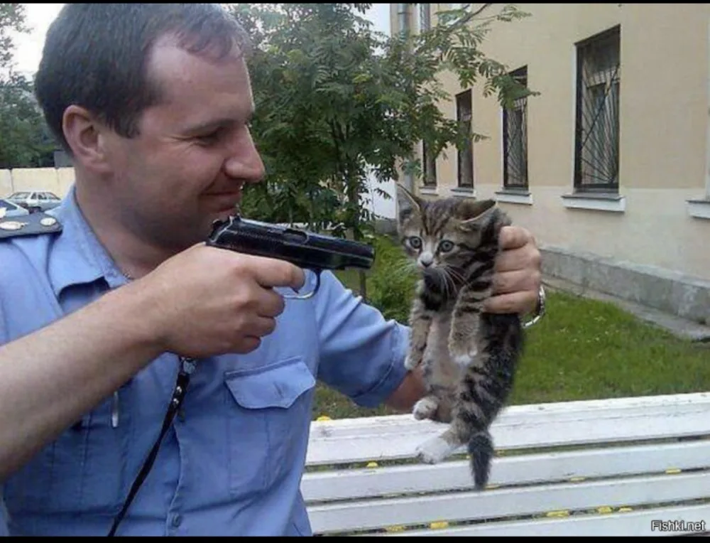 такое фото не должно восприниматься как шутка. 