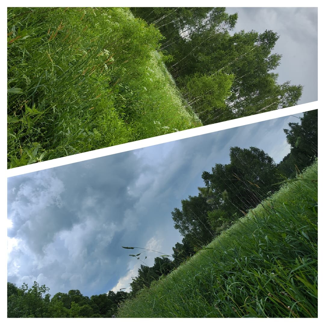 из личных альбомов