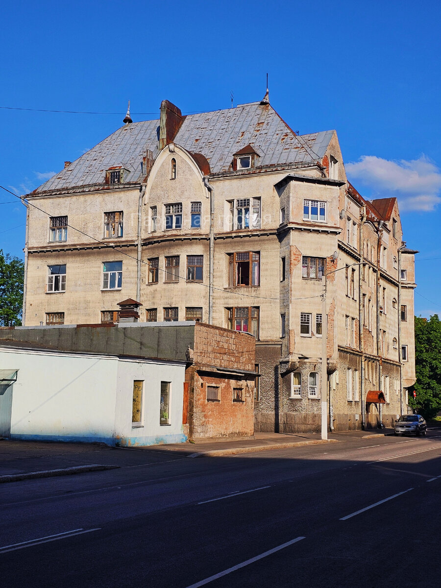 Фото: Парадная гостья