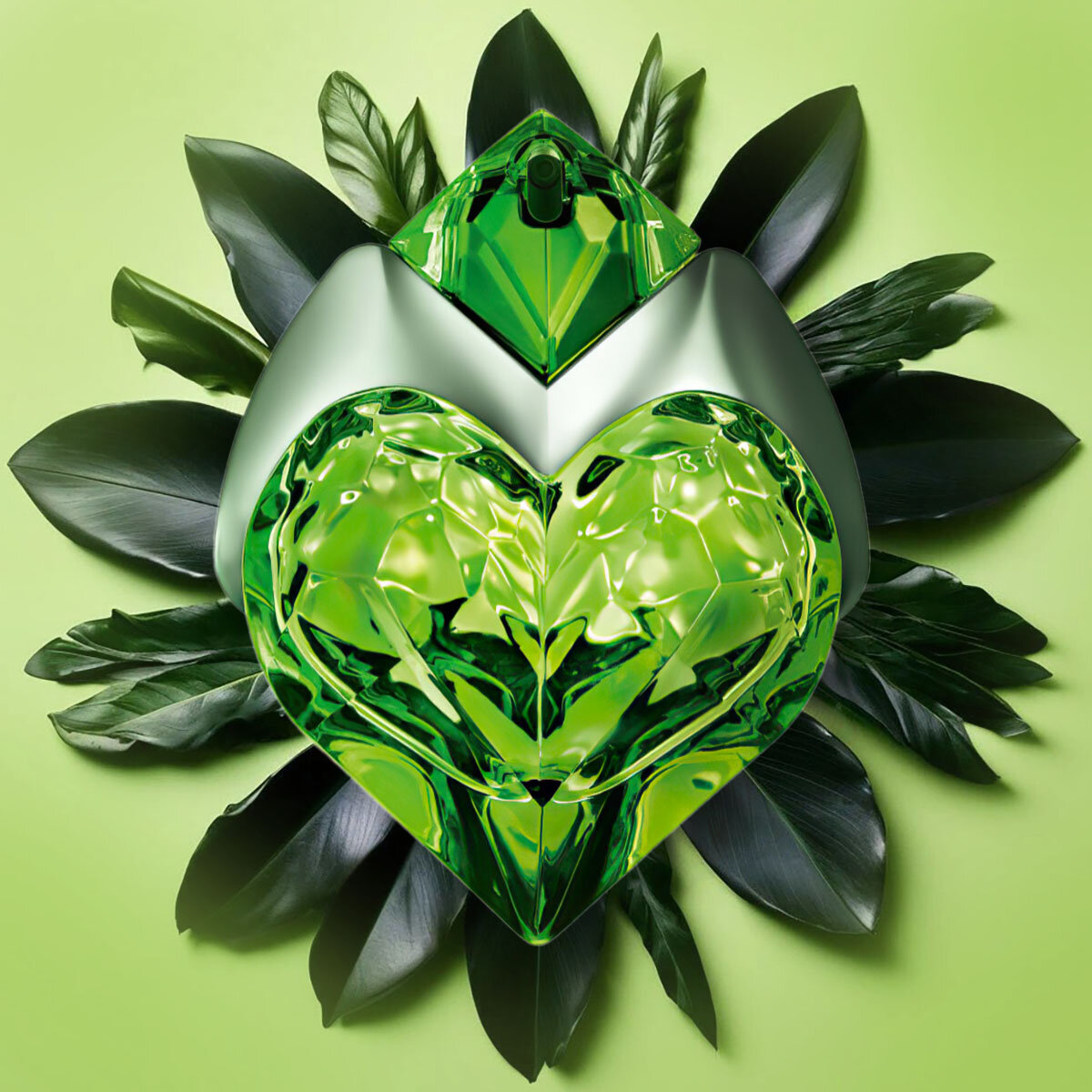 группа: цветочные, фруктовые верхние ноты: груша, семена гибискуса, бергамот, лимон
средние ноты: зеленые ноты, ревень, жасмин, клубника
базовые ноты: ваниль, корень ириса, мускус, амбретта
выпущен в 2018 году
парфюмер: Olivier Cresp