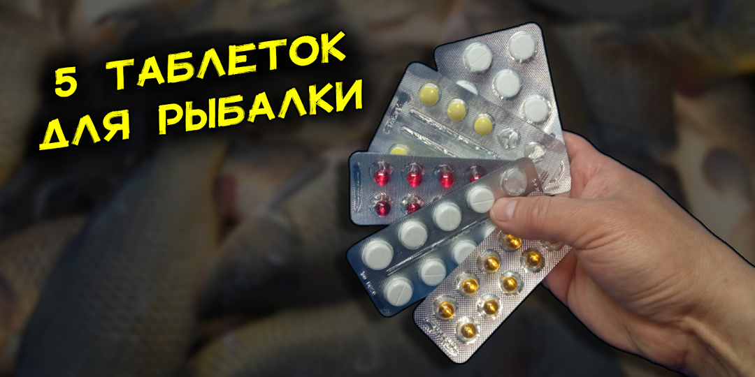 5 таблеток для рыбалки, которые заставят рыбу клевать. Рабочие активаторы клёва своими руками