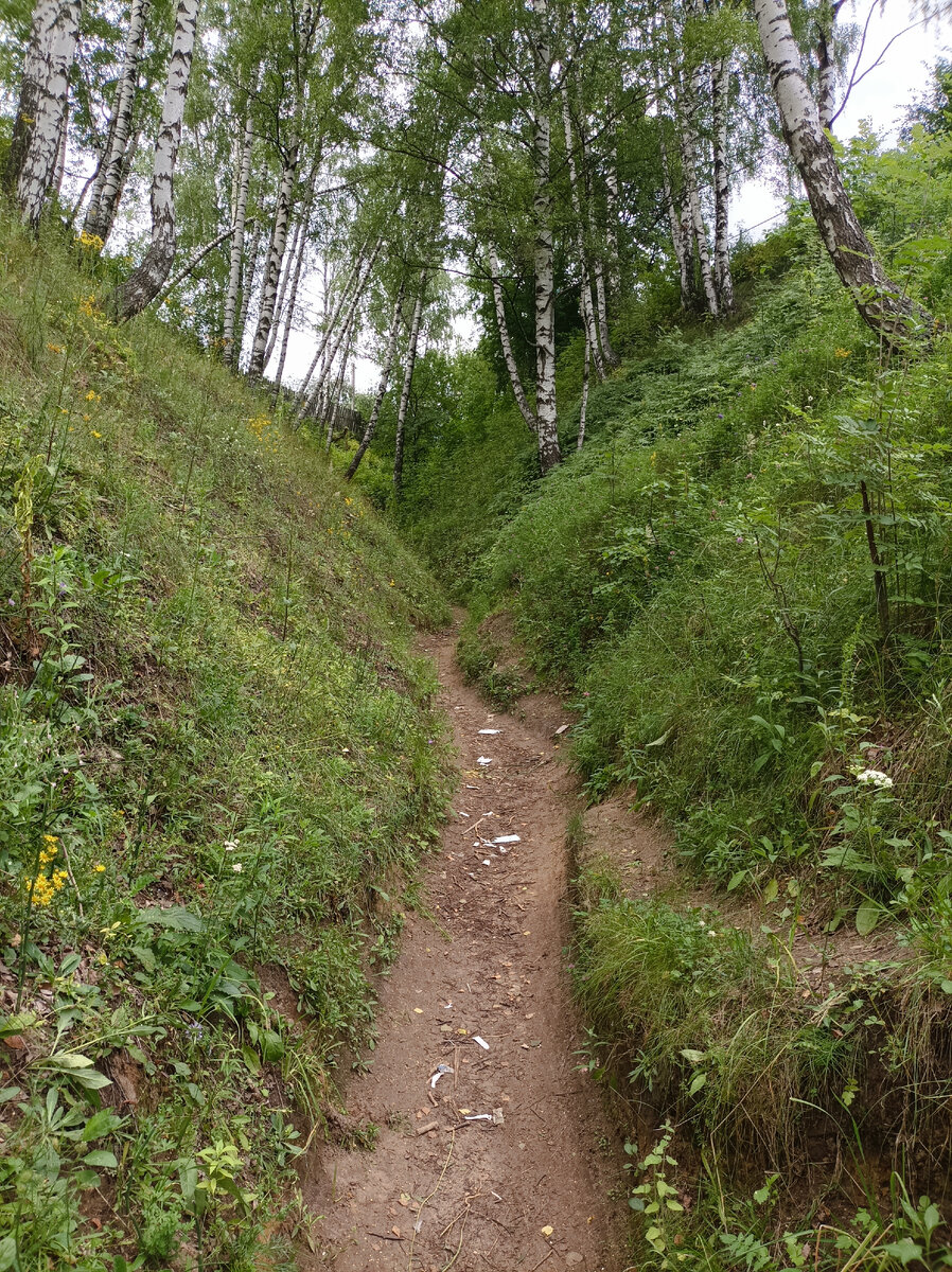 Еду по тропе в овраге.